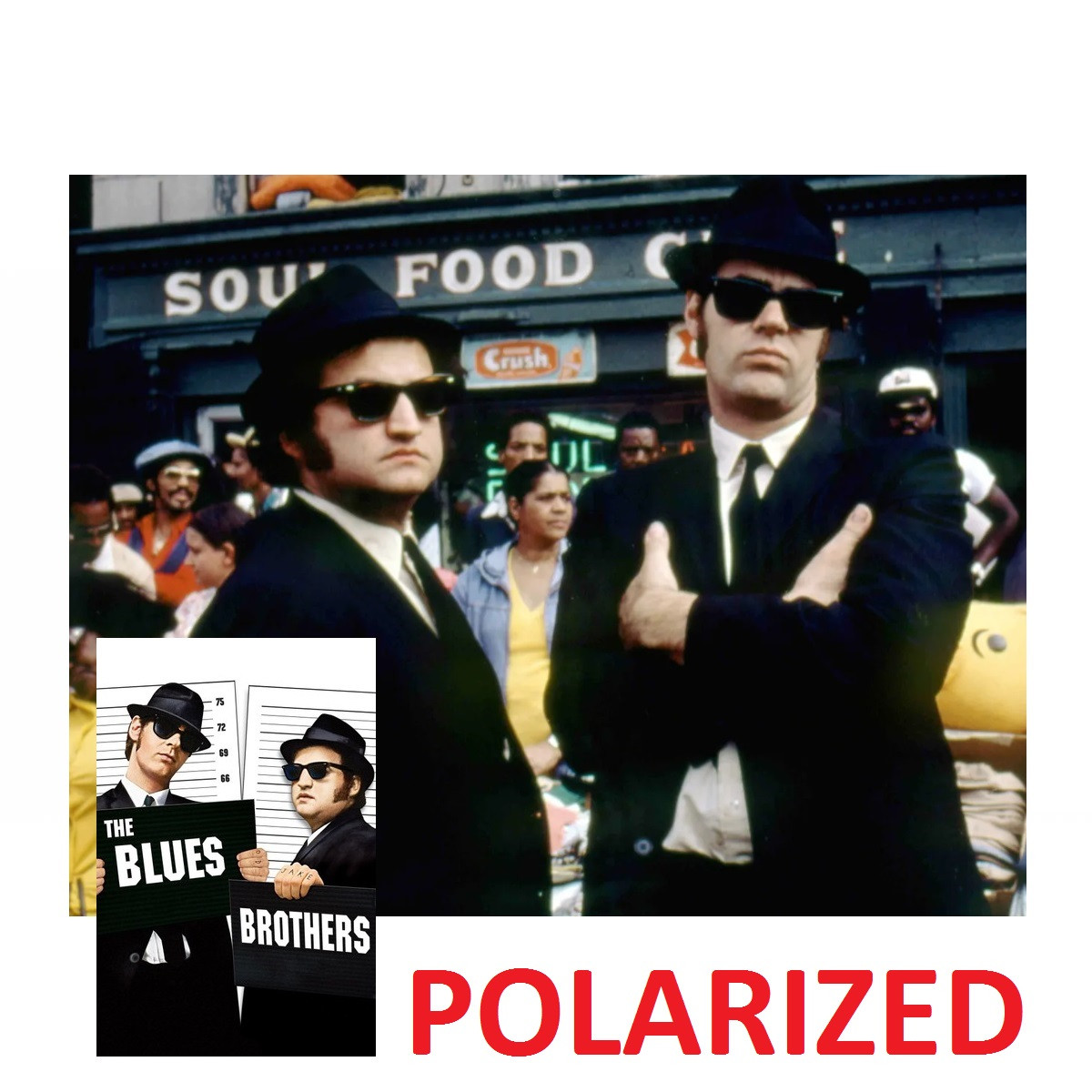 RAY BAN WAYFARER Polarized THE BLUES BROTHER 1980 John Belushi ed Dan Aykroyd