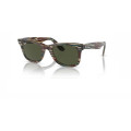 Occhiali da Sole Ray-Ban 0RB2140 - WAYFARER CHANGE COLLECTION - 138731 - PHOTO STRIPED GREY - 50